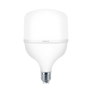 LED SIJALICA T T100 30W E27 6500K