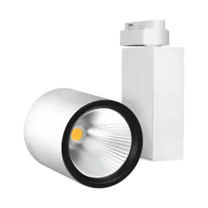 LED ŠINSKI REFLEKTOR 30W BELI 6500K MONOFAZNI