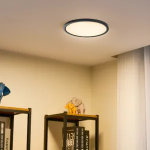 LED PLAFONJERA OKRUGLI 20W CRNI CCT