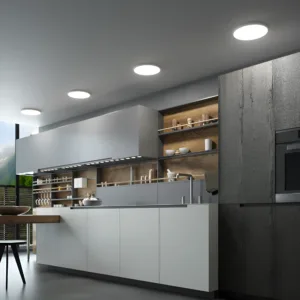 LED PLAFONJERA OKRUGLI 36W BELI CCT