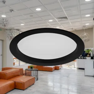 LED DOWNLIGHT 32W CRNI 6500K
