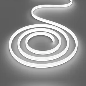 LED NEON TRAKA 8X16 220V 6500K