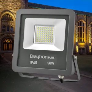 LED REFLEKTOR 50W SIVI ZELENI IP65